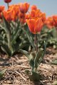 EBL_20110424_010547