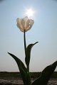 EBL_20110424_010602