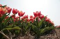EBL_20110424_010620