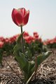 EBL_20110424_010626