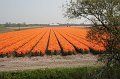 EBL_20110424_010631