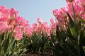 EBL_20110424_010669