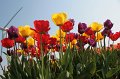 EBL_20110424_010787