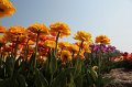 EBL_20110424_010850