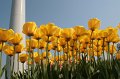 EBL_20110424_010871