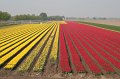 EBL_20110424_010896