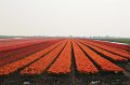 EBL_20110424_010911