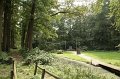 EBL_20140712_026631