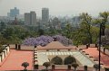 IMG_4780