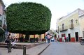 EBL_20150501_140631_003737