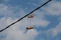 EBL_20150502_171611_004193