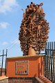 IMG_1037