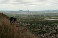 IMG_8778