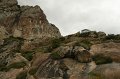 IMG_8782