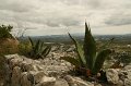 IMG_8826