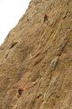 IMG_8833