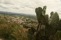 IMG_8837