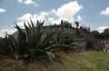 IMG_7655
