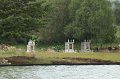 EBL_20150517_163737_004645
