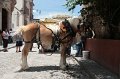 IMG_7201