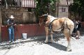 IMG_7205