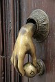 IMG_7257