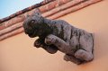 IMG_7322