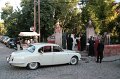 IMG_7337