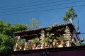 IMG_7338