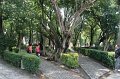 IMG_8196