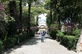 IMG_8199