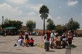 IMG_8241