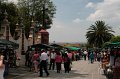 IMG_8255