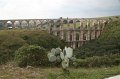 IMG_8508