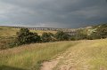 IMG_8529