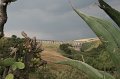 IMG_8533