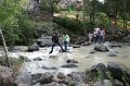 IMG_8535