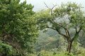 IMG_9383