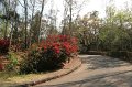 EBL_20140413_024754