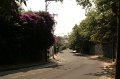 EBL_20140510_025268