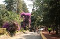 EBL_20140510_025279