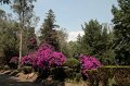 EBL_20140510_025281