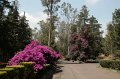 EBL_20140510_025284
