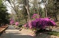 EBL_20140510_025286