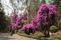 EBL_20140510_025289
