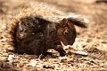 EBL_20140510_025313