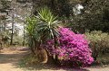 EBL_20140510_025334