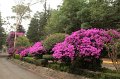 EBL_20140510_025388