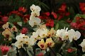 EBL_20160124_121321_008840