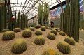 EBL_20160124_122936_008871